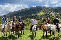 Horseback Riding in the Andes Mountains