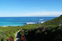 Surf Lesson at Margaret River from Australia