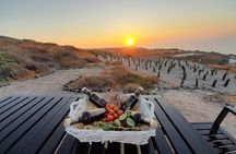 Santorini: Private Agri-Educational Visit to an Organic Farm 