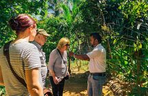 Private Full-Day Scooter Tour | Village, City & Beaches 