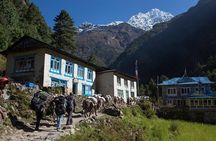 Everest Base Camp Drive In Drive Out Trek