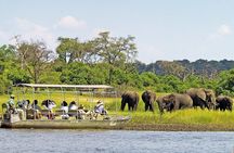 Boat Cruise And Game Drive in Chobe National Park 