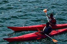 Cairo Kayak on The Nile River