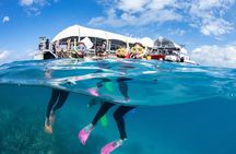 Great Barrier Reef Adventure from Cairns including Snorkeling
