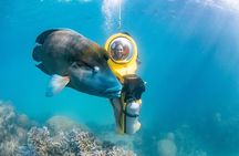 Great Barrier Reef Adventure from Cairns including Snorkeling