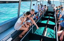 Snorkelling and Glass Bottom Boat at Green Island from Cairns