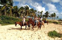Horseback Riding at Macao Beach