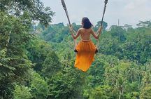 Private Bali Tour with Lisensed Bali Driver 