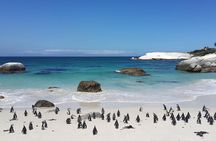 Flavours Of Cape Town Full Day Tour