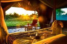 From Arusha : 3 Days Private Safari Tarangire N.P and Serengeti 