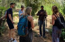 Trekking and Climbing in Dades Gorges