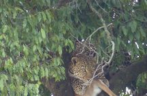 3 Days Magical Maasai Mara Private Tour