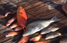Fishing & Snorkeling Sea Trip by Speed Boat and Transfer-Hurghada