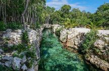 Tulum 4 Cenotes at home Turtle and Sculpture Mother Nature