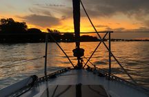 Private Boat Tour to Rio de la Plata and Delta El Tigre with Wine on Board