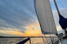 Private Boat Tour to Rio de la Plata and Delta El Tigre with Wine on Board