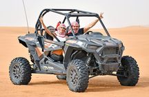 Premium Desert Safari Dune Buggy Camel Ride Sandboard & BBQDinner