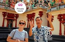 Full Coverage Singapore PRIVATE City Tour With Locals (B-Corp certified) 
