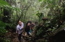 Private 12-hour tour of the Farallones de Cali