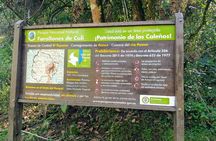 Private 12-hour tour of the Farallones de Cali