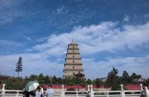Private 1-Day Xi'an City Highlights Tour