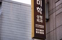 Gangnam Walking Tour on Youth and Society in Seoul Korea