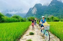 Trang An Grottoes - Hoa Lu - Mua cave [Best Price] 1 Day Trip