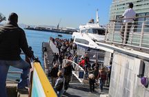 Robben Island Cape Of Good Hope Penguins Including Ferry Ticket