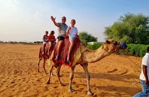Camel Ride Safari in Red Dunes