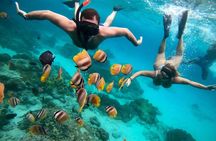 Blue Lagoon Snorkeling and Lunch with Tukad Cepung Waterfall