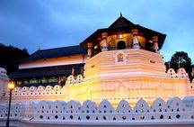 Tailor-made Multi-day Private Tour Packages in Sri Lanka