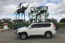 Private Wine Tours McLaren Vale or Adelaide Hills
