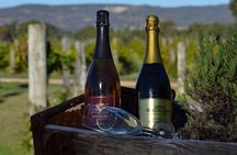Wineries Bus Tours 