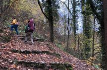 Samobor Town and Castle Walking Tour