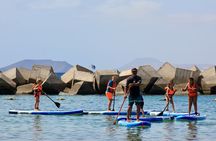 Stand Up Paddle Boarding Lesson in Playa Flamingo