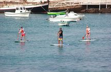 Stand Up Paddle Boarding Lesson in Playa Flamingo