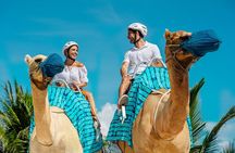 Camel Expedition and Beach Club In Riviera Maya