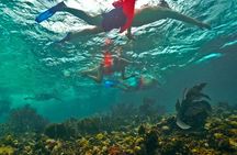  Isla Mujeres All Inclusive from Playa del Carmen