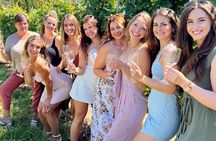 East Kelowna Half-Day Guided Wine Tour With 4 Wineries