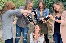 East Kelowna Half-Day Guided Wine Tour With 4 Wineries
