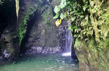 Private full day tour from Quito to Mindo