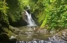 Private full day tour from Quito to Mindo