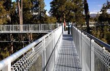 2-Hour Tower Zipline and Walkway Combo Private Guided Activity 