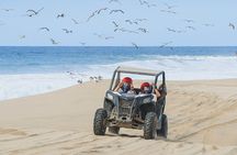 Side by Side 4X4 Adventure in Los Cabos 