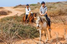 Desert and Beach Horseback Riding Experience in Cabo
