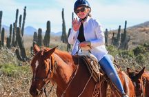 Desert and Beach Horseback Riding Experience in Cabo