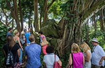 Oahu Off the Beaten Path Small-Group Tour from Honolulu