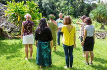 Oahu Off the Beaten Path Small-Group Tour from Honolulu