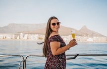 Cruise and Dine Lunch / Cape Town: Coastal Motor Cruise and 2-Course Lunch