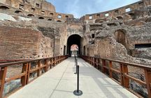  VIP Colosseum Underground and Ancient Rome Small Group Tour